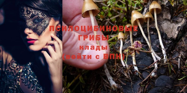 мдпв Нефтекумск