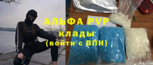 гашик Новозыбков